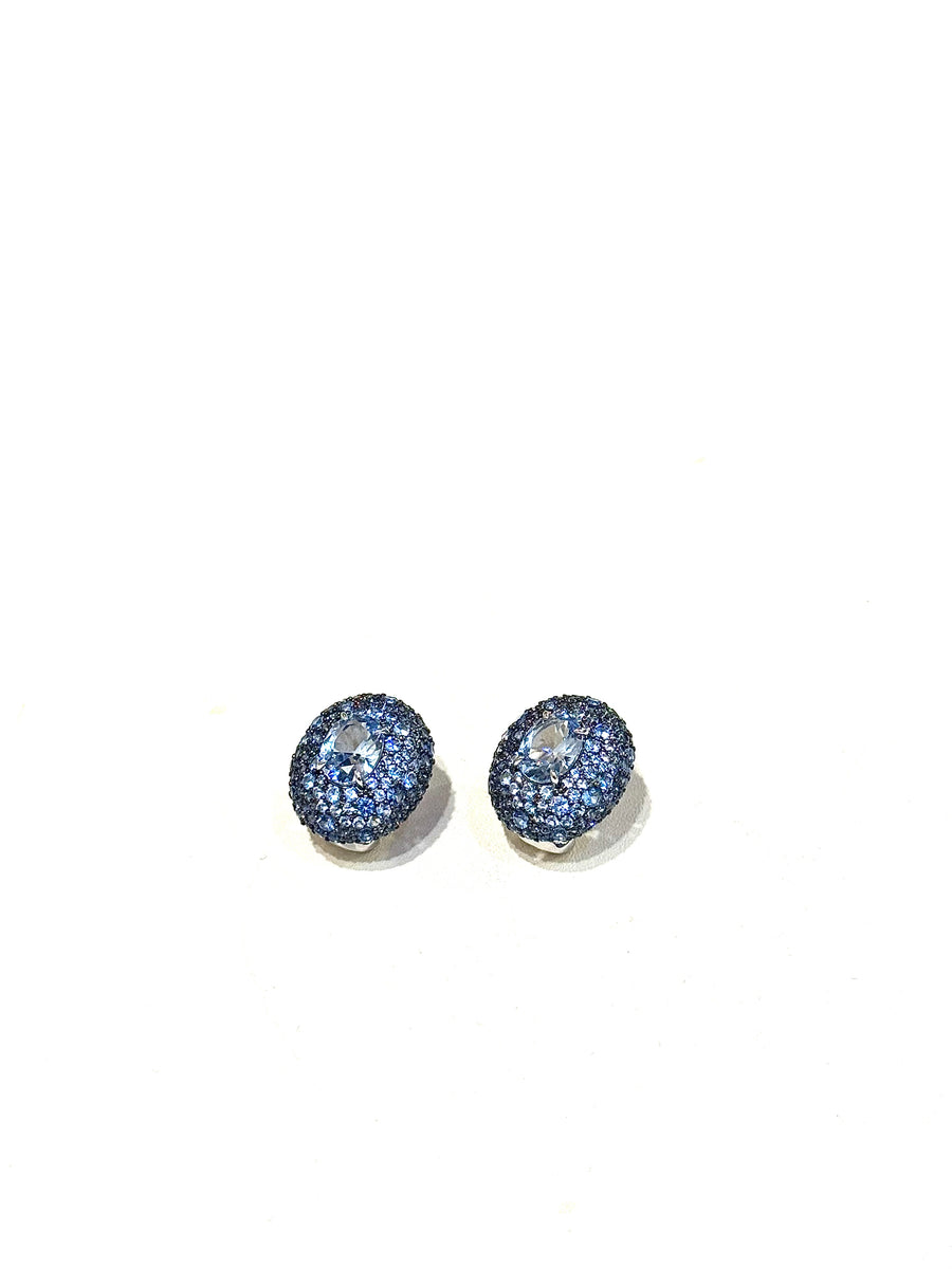 E251050 Xiomara Earrings