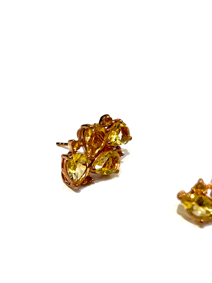 E251131 Allium Earrings