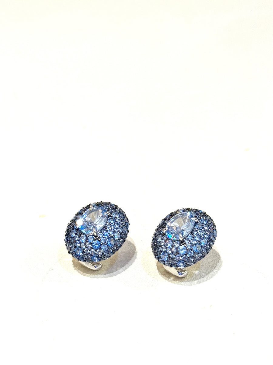 E251050 Xiomara Earrings