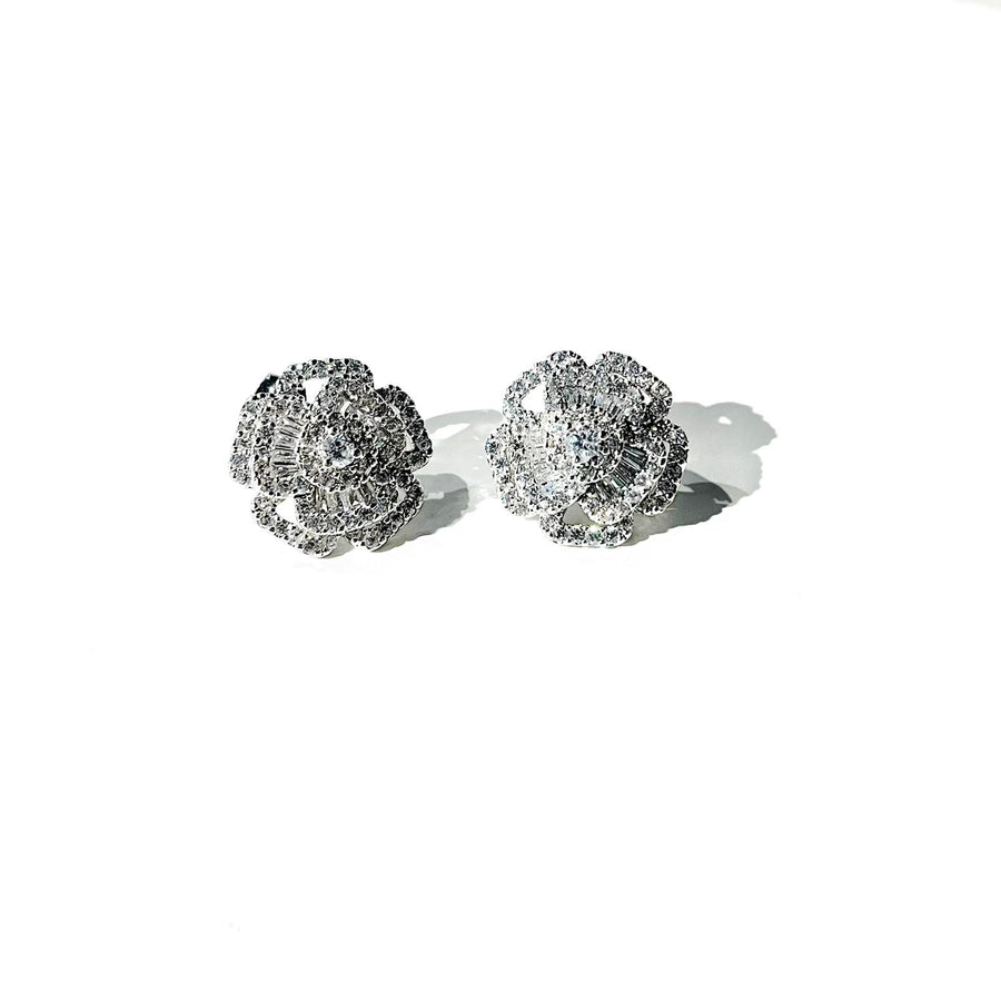 E25523 Lisa Earrings